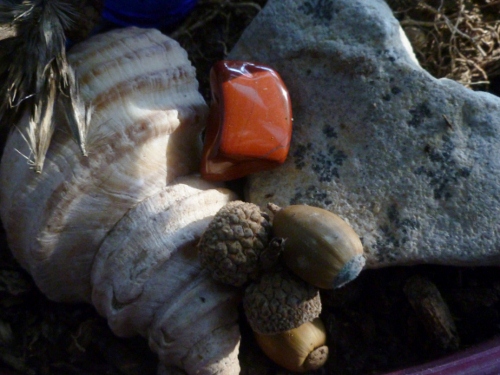 Heart treasures: heart-shaped rock, seeds, red jasper, seashell.